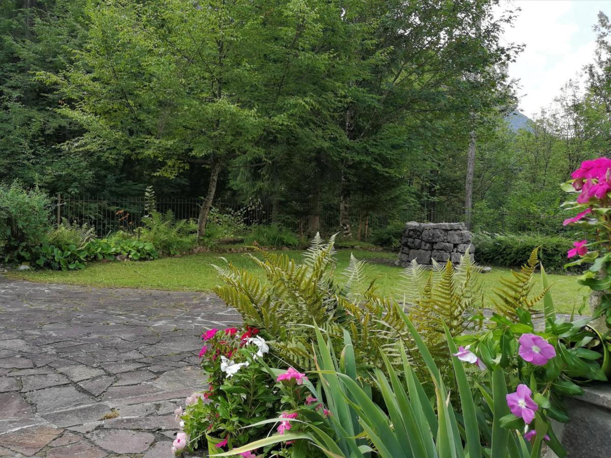 Вилла Chalet Ai Monti Di Zuclo - Tione Тьоне-ди-Тренто Экстерьер фото